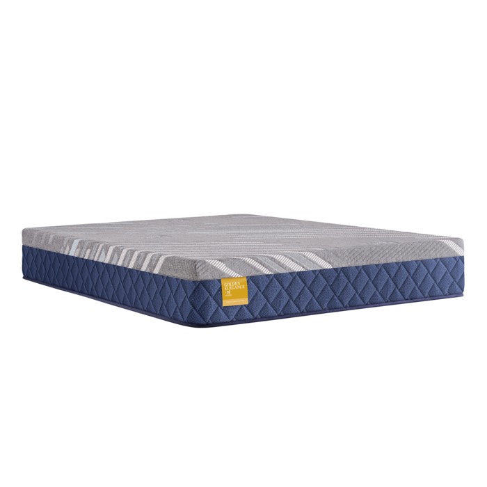 Sealy Featherton Hybrid | Firm