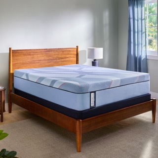 Sealy Dupont II Hybrid | Firm