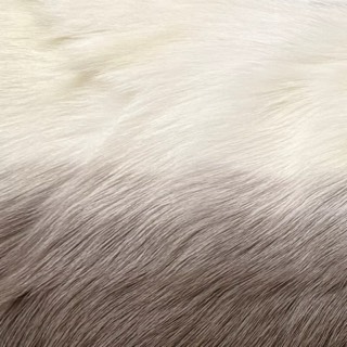 Decorum Billy Goat (Ombre) | Decor Pillow