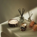 Voluspa Forbiden Fig | Candle Mini Tin image 3