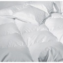 Downtown Company Regency Winter Comforter 13" Baffle Box White image 2