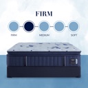 Sealy Estate | Firm Euro Pillow Top Firm image 4